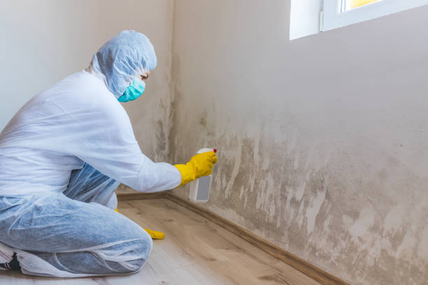 Licensed Commercial Mold Remediation service in Denton, NC - WQB Mold Removal