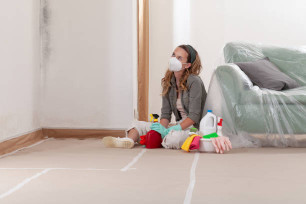 Reliable Commercial Mold Remediation contractor in Denton, NC by WQB Mold Removal